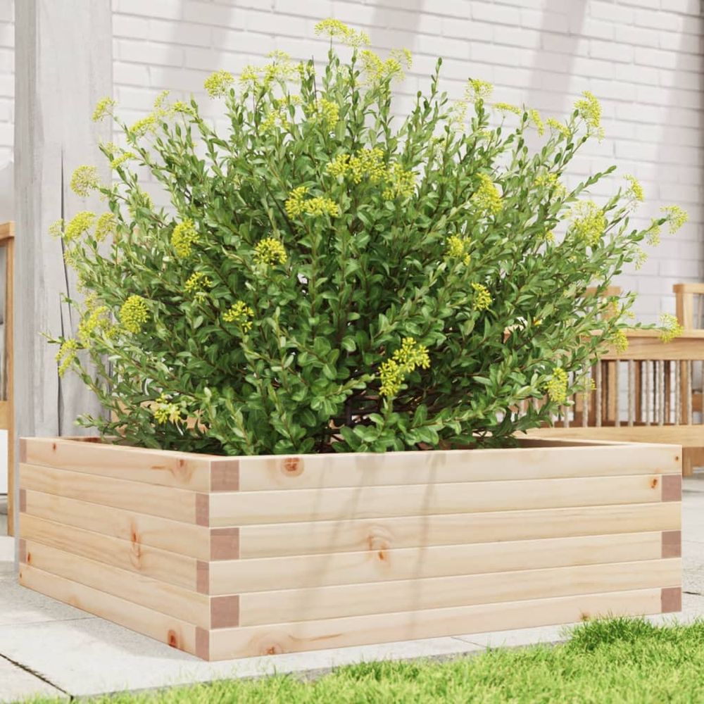 Cadre à fleurs carré large en pin massif – jardinière basse spacieuse pour massifs floraux et potager – 70x70cm brun