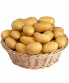 Collection de 80 pommes de terre : amandine, jeannette, blanche, les 80 plants