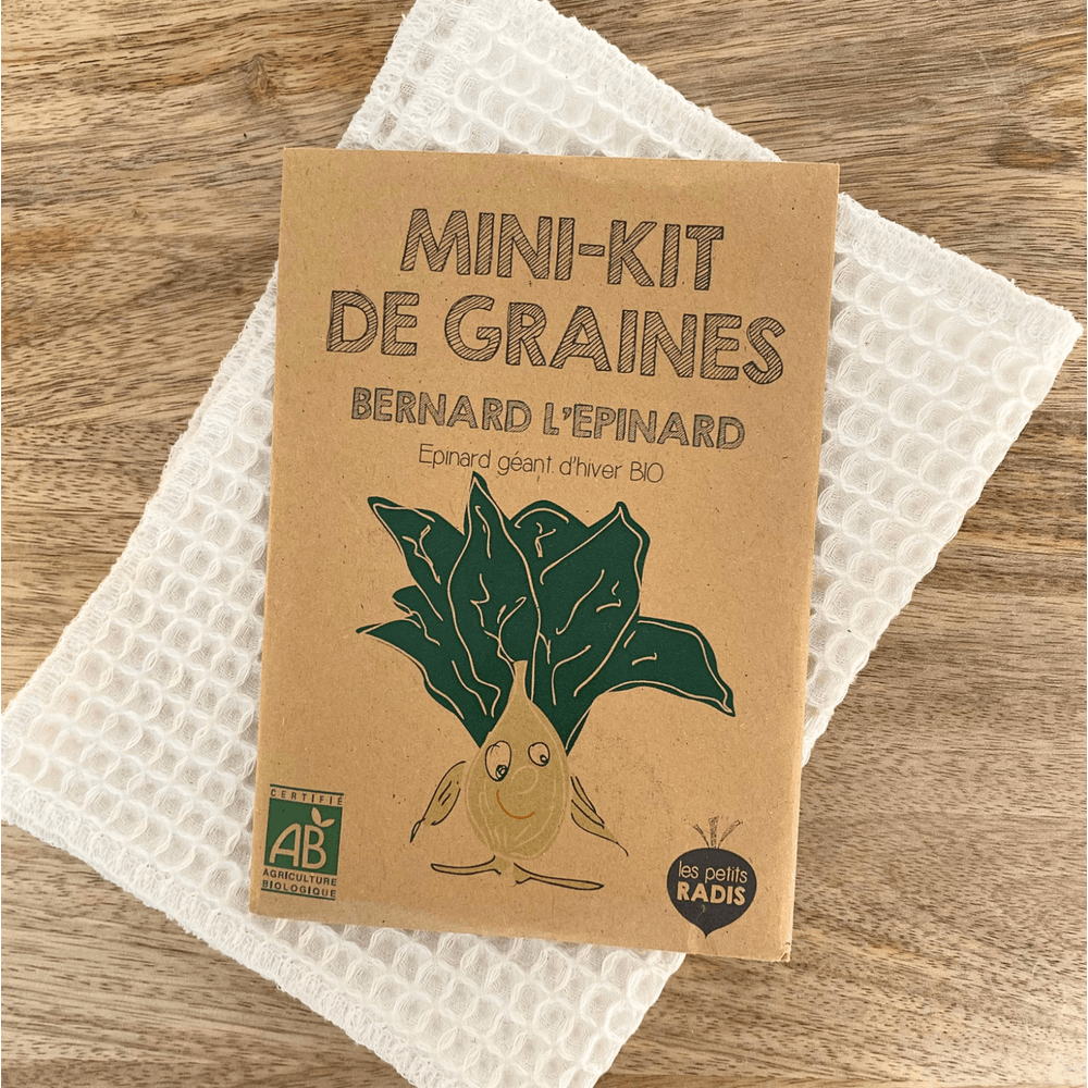 Mini kit de graines - bernard l'épinard