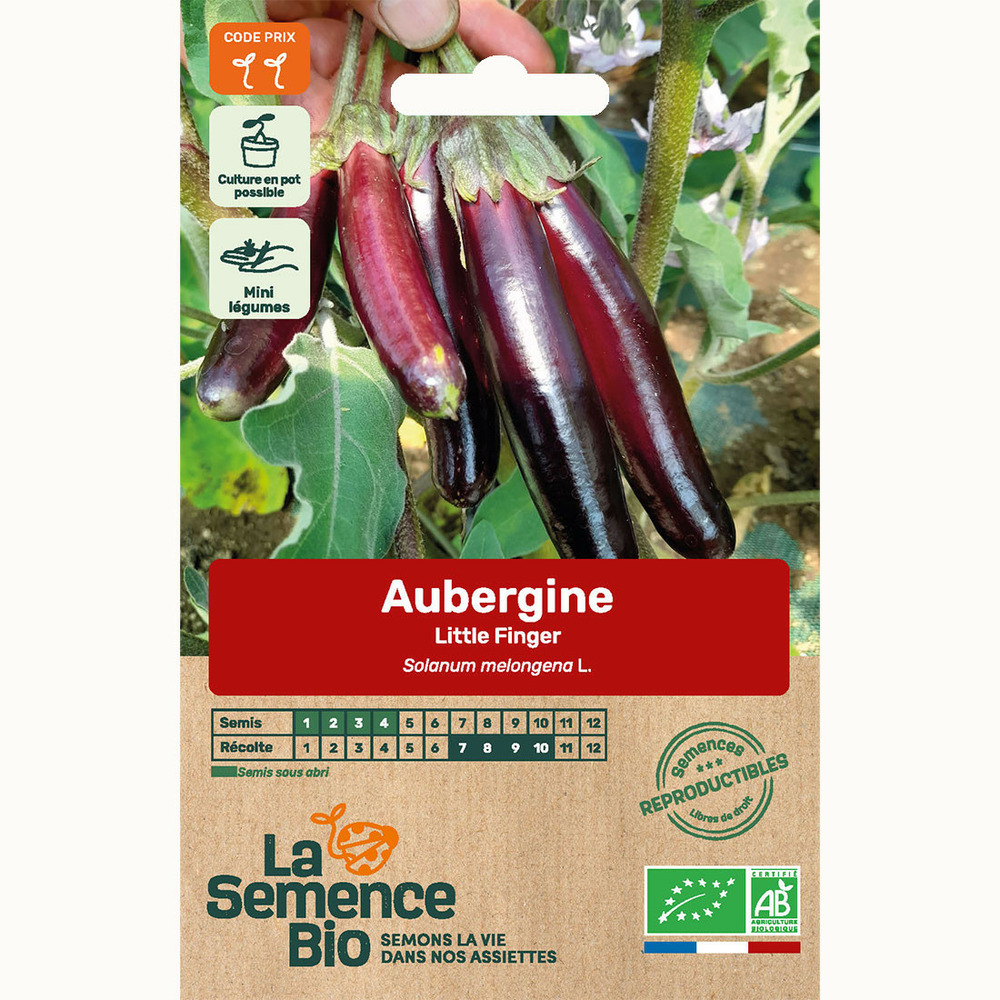Aubergine little finger - graines bio