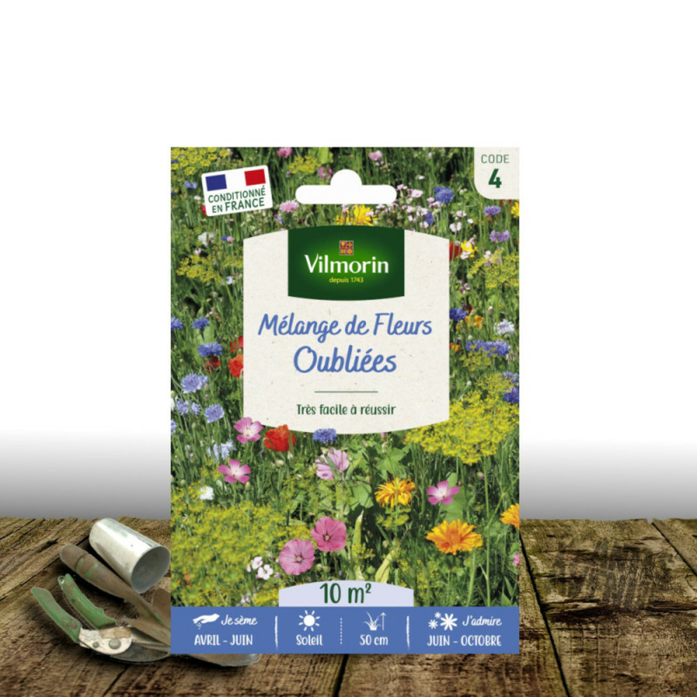 Graines en mélange de fleurs - fleurs oubliées sachet - 10 m²