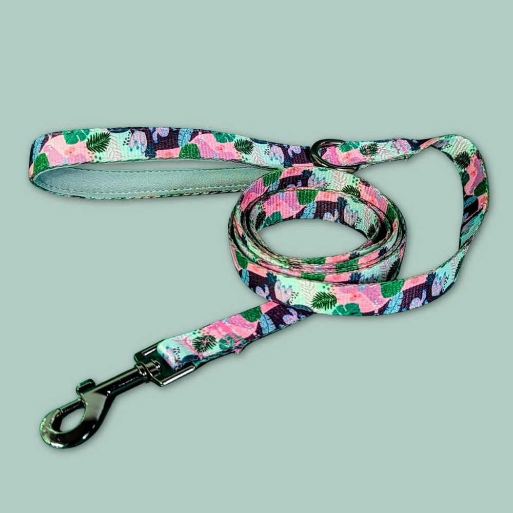 Laisse pour chien cactus - l