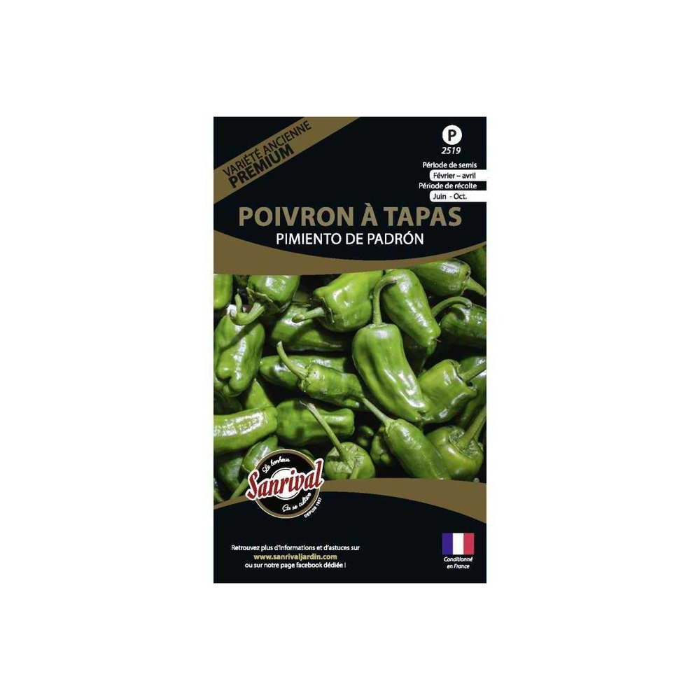 Graines potagères premium poivron padron spécial tapas