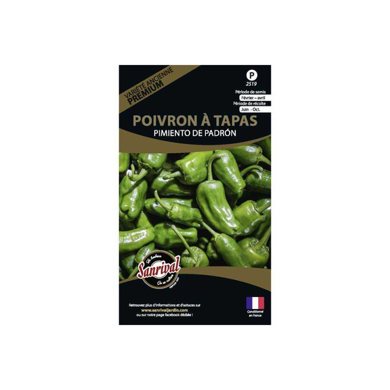 Graines potagères premium poivron padron spécial tapas