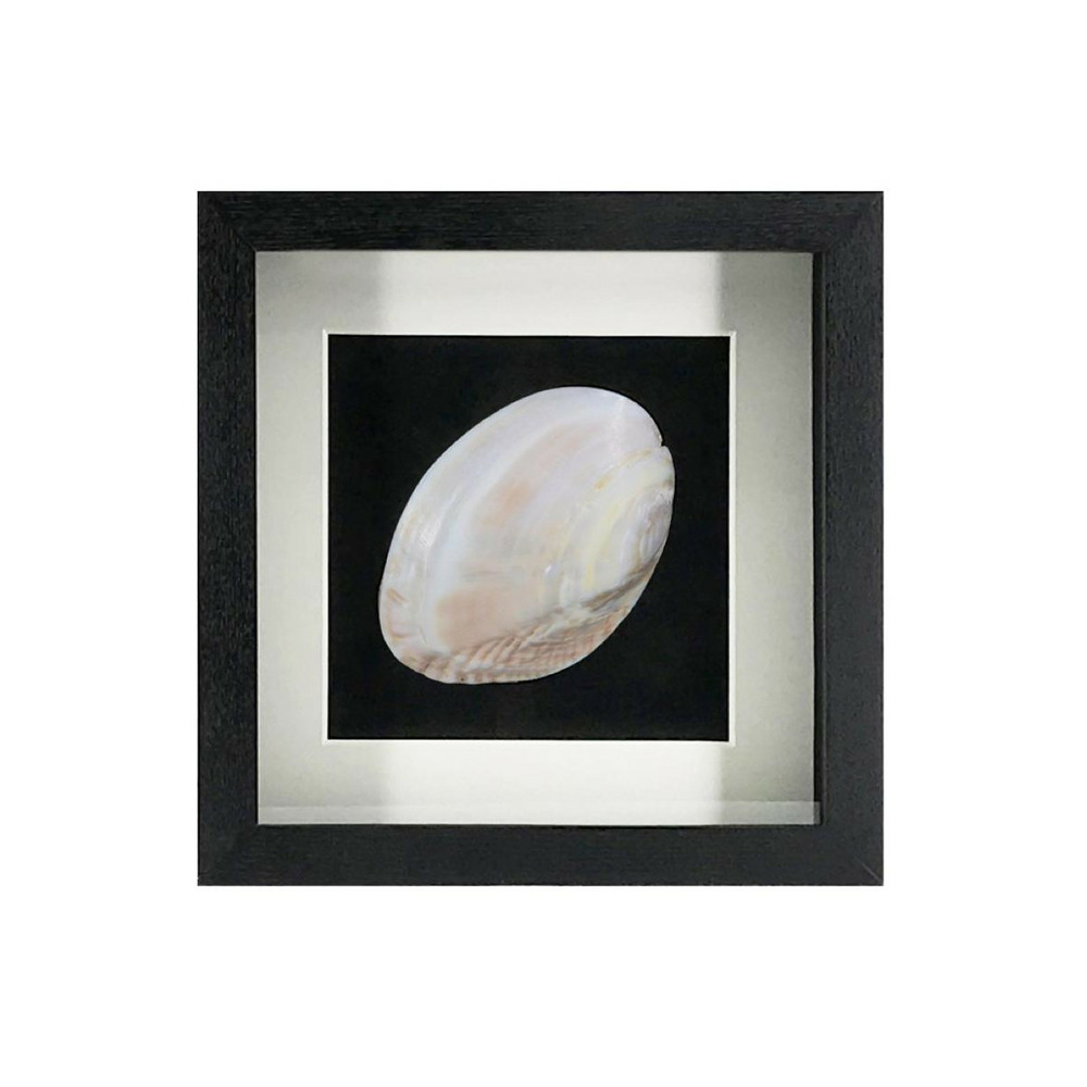 Tableau nacre nacre noir - décoration d'autrefois