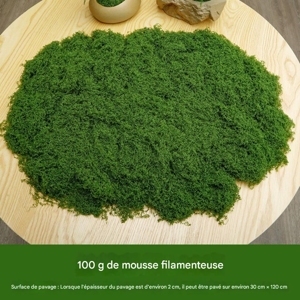 Mousse Artificielle Stabilisée - Lot 240g (6 Couleurs) - Pour Décorations, Terrariums, Bricolage