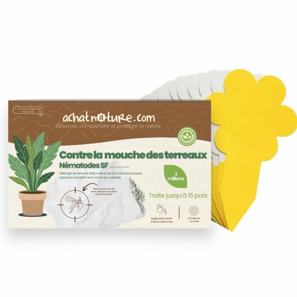 Nématodes sf contre mouches des terreaux (3 millions) + 10x pièges jaunes