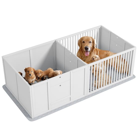Boîte de mise bas pour chien bois de pin 2 compartiments 166x80x50cm blanc