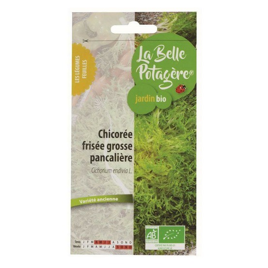 Graines à semer - salade frisée grosse pancalière - 0,5 g