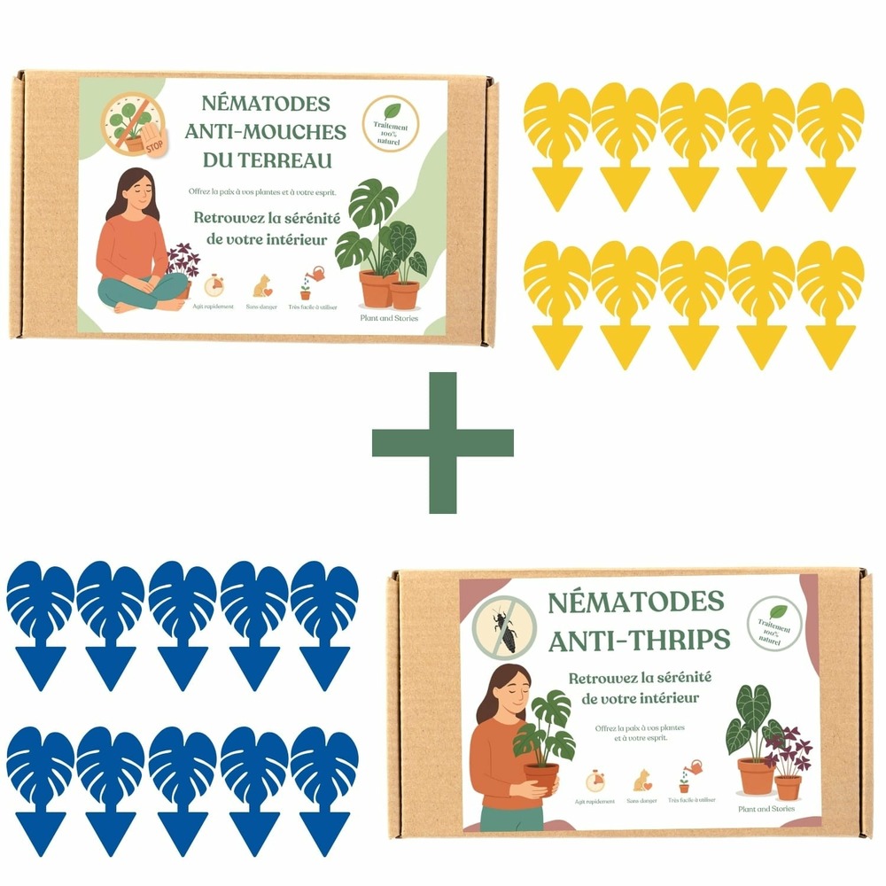 Duo nématodes anti moucherons et anti thrips + 20 pièges englués offerts - pack nématodes 10 millions pour chacun