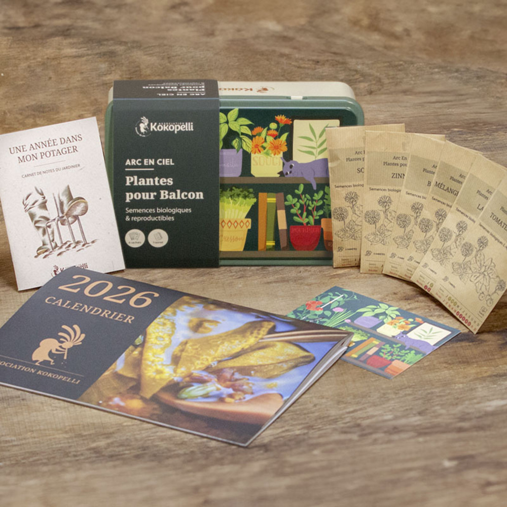 Graines bio à semer - mélange de graines arc en ciel bio - plantes potagères et florales