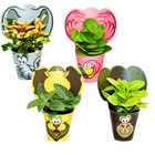 Ensemble de plantes d'intérieur amusantes "animaux" 4 plantes avec des animaux - idéal comme cadeau pour les anniversaires d'enfants