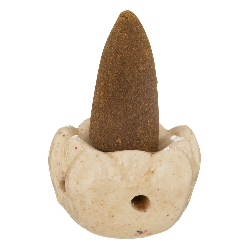 Lot de 15 cônes d'encens avec support 