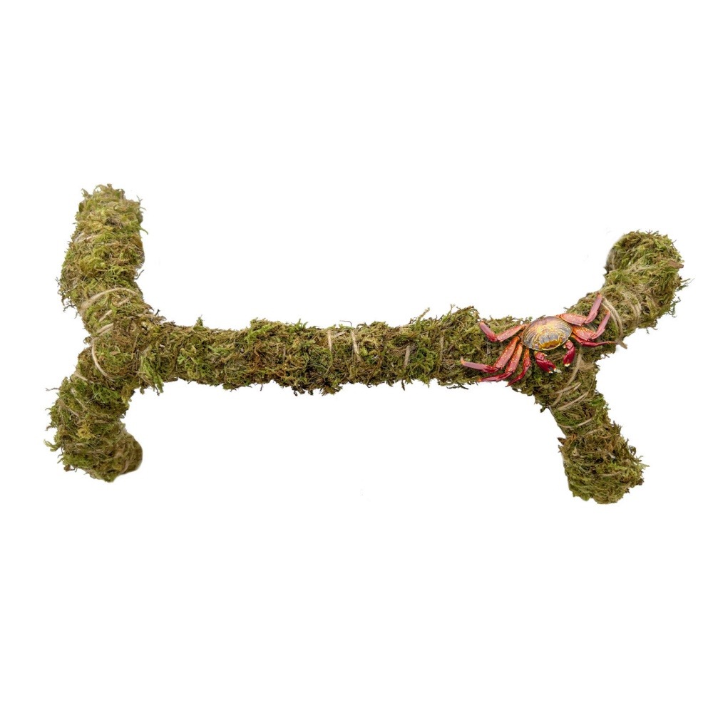 Bâton de mousse flexible 30 cm pour les crabes d'ermite jouet de grimpe