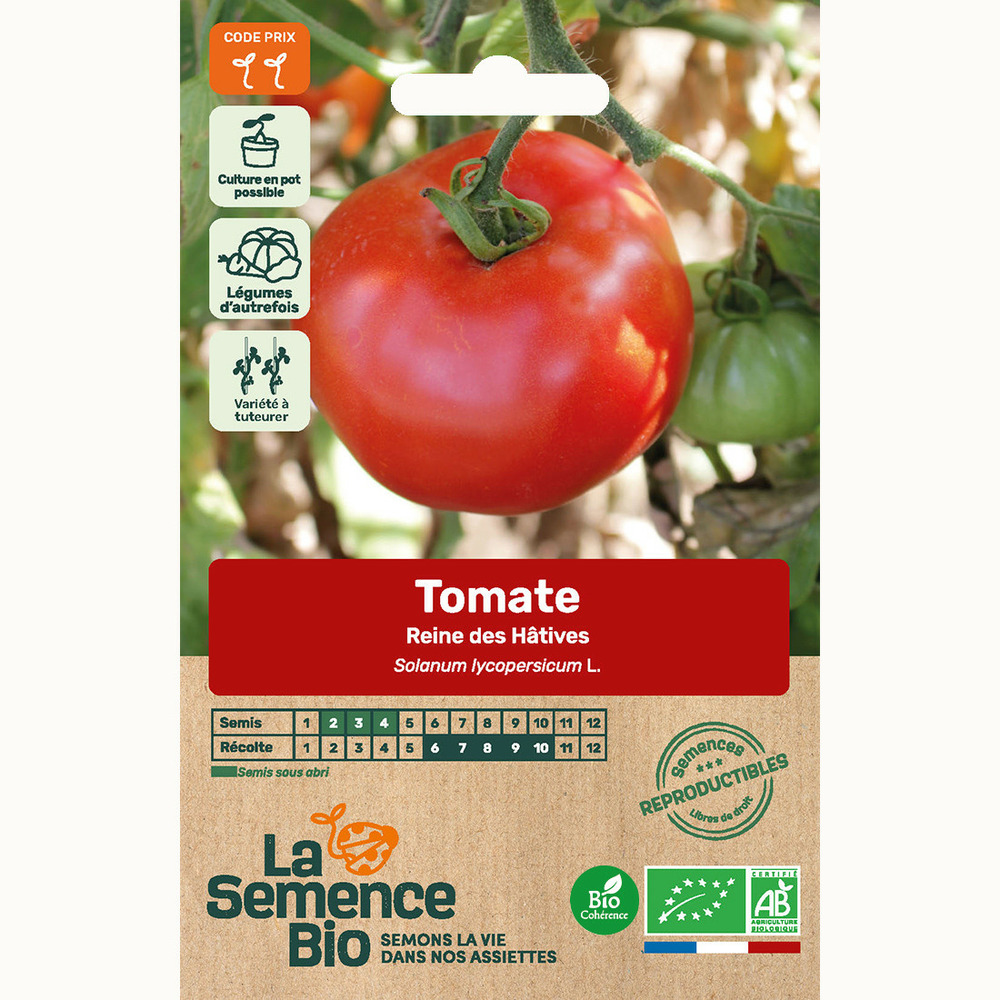 Tomate reine des hâtives - graines bio