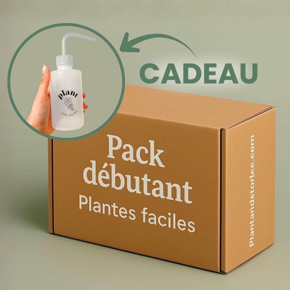 Box débutant plantes surprises + pipette 250ml offerte - pack débutant - plantes d'intérieur mystères - 9 plantes surprises