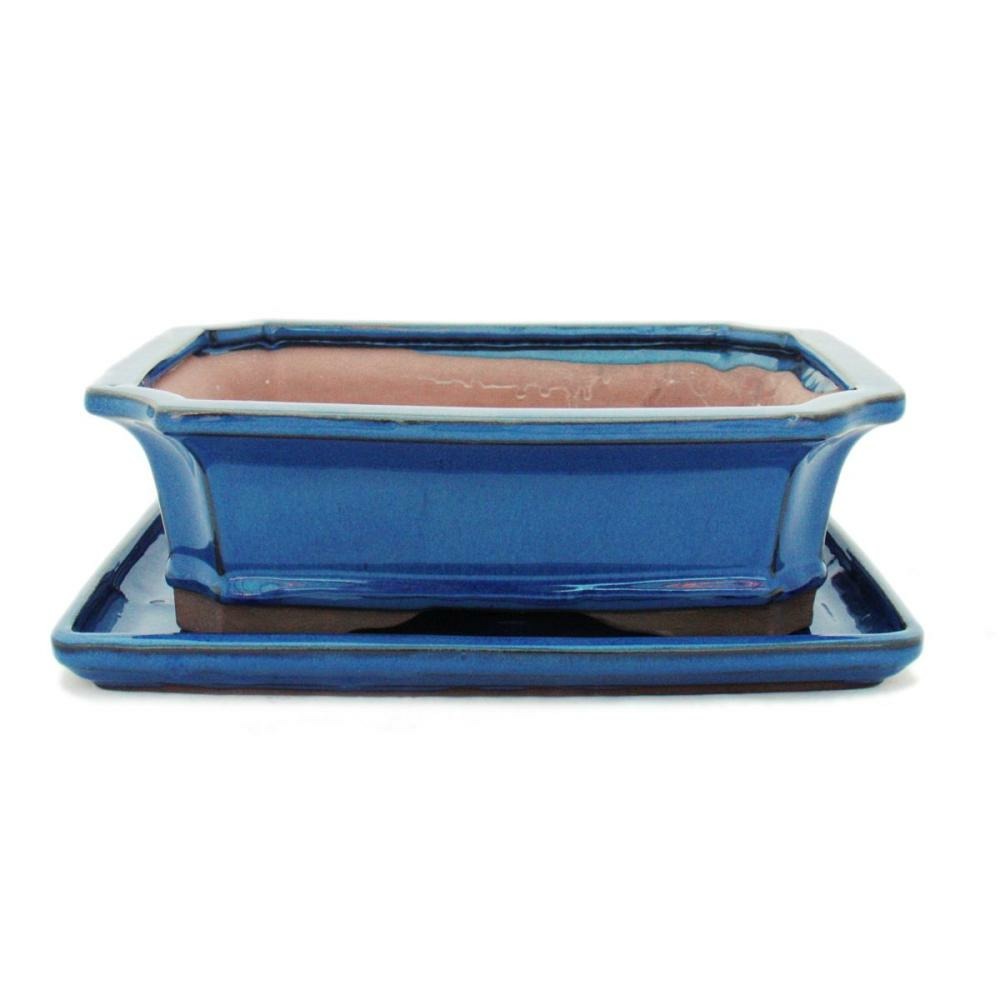 Bol bonsaï avec soucoupe taille 4 - bleu - carré - modèle g4 - l 26cm - b 20cm - h 8cm