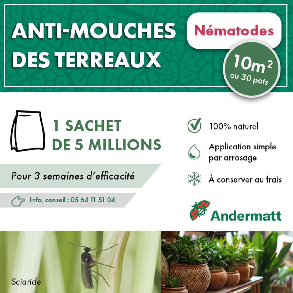 Nématodes mouche du terreau 5m