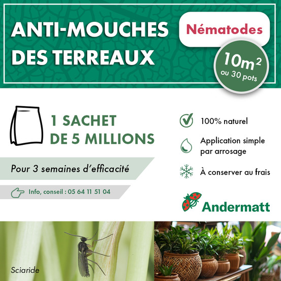 Nématodes mouche du terreau 5m