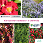 Kit couvre sols talus - 5 variétés - lot de 18 plants en godet