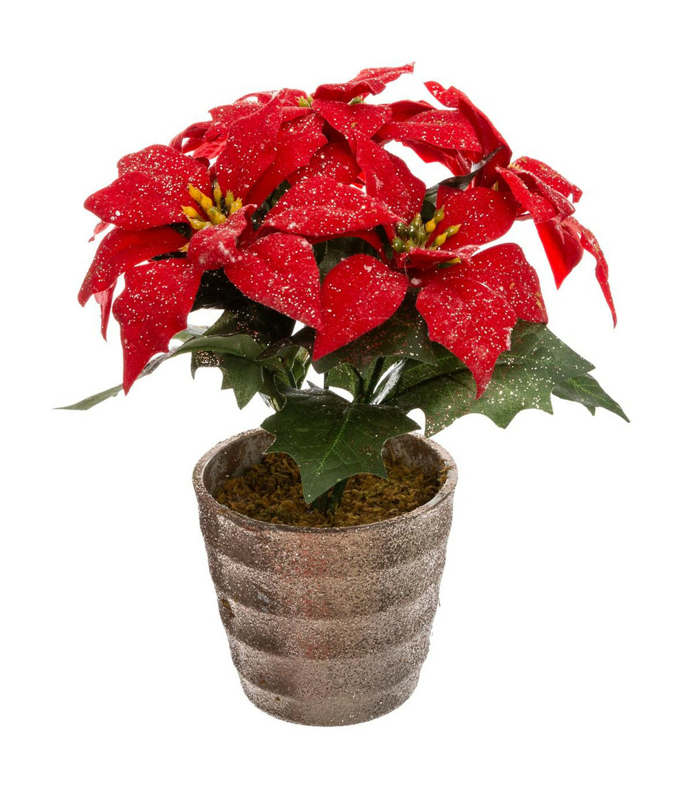Plante artificiel poinsettia étoile de noël rouge pailleté en pot h 22 cm