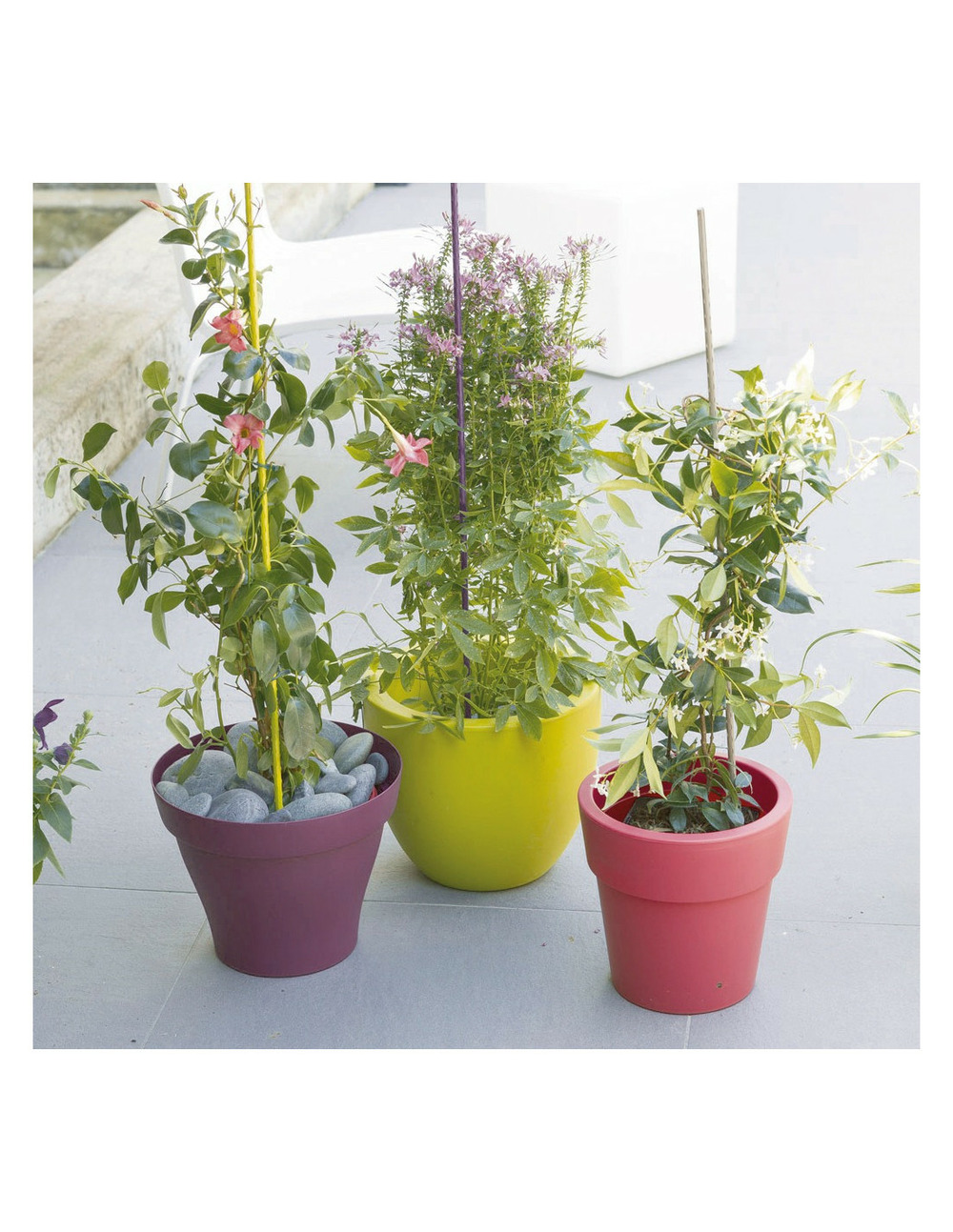 Tuteur acier plastifié