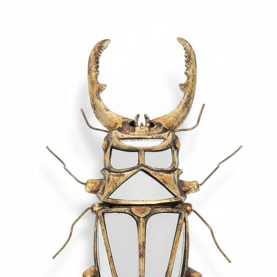 Miroir scarabée à pinces 43x5x22cm