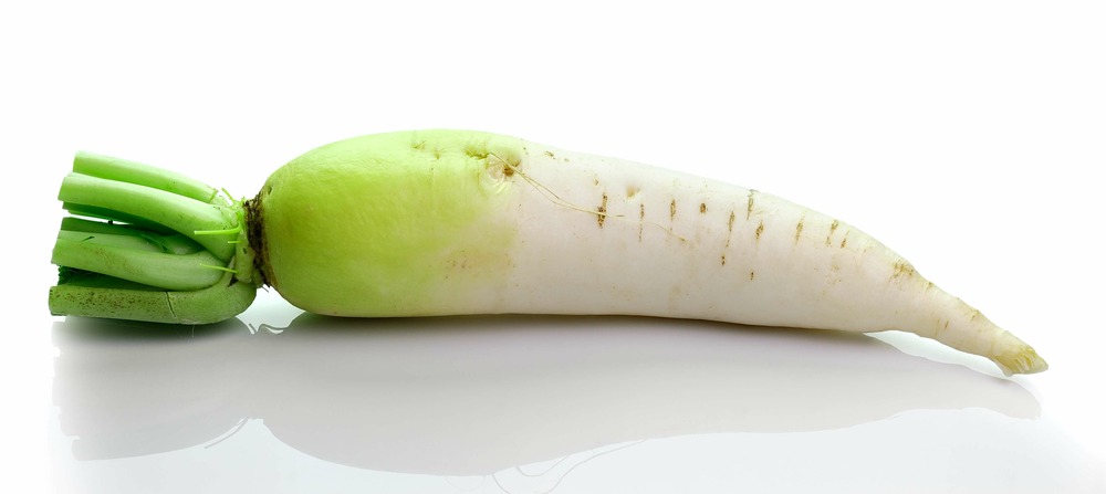 Sachet de graines de carotte fourragère blanche collet vert - sachet de 8 grammes - petite entreprise française