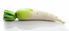 Sachet de graines de carotte fourragère blanche collet vert - sachet de 8 grammes - petite entreprise française