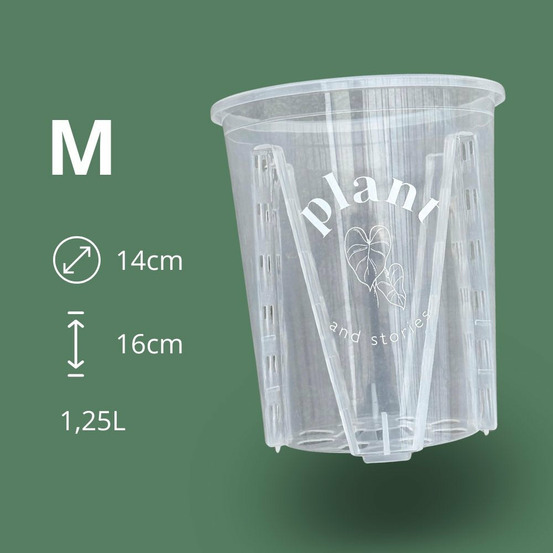 Pot aracées transparent - pot de culture transparent pour plantes - pot de 14cm - x10 unités