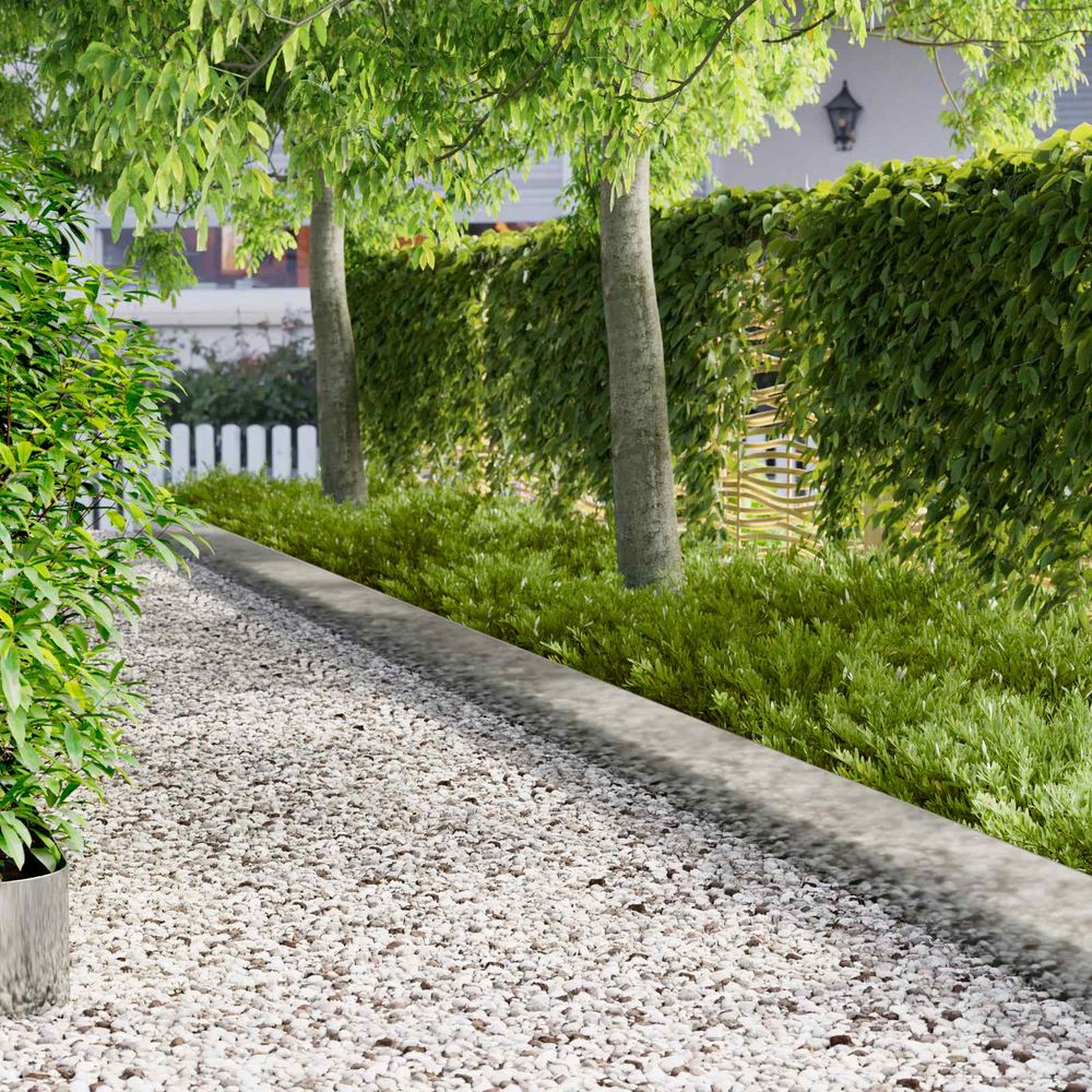 Bordure de pelouse acier jardin extérieur démarcation nette 100x18cm argenté
