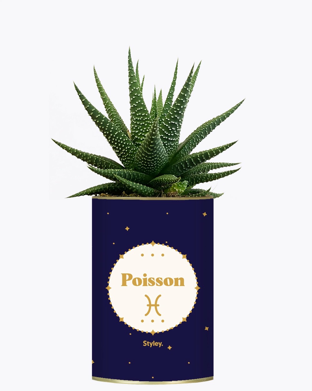 Idée cadeau - astrologie - plante zodiac