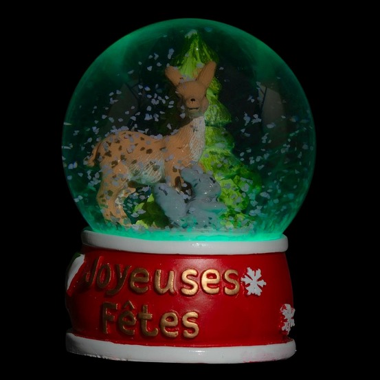 Sujet de noël lumineux