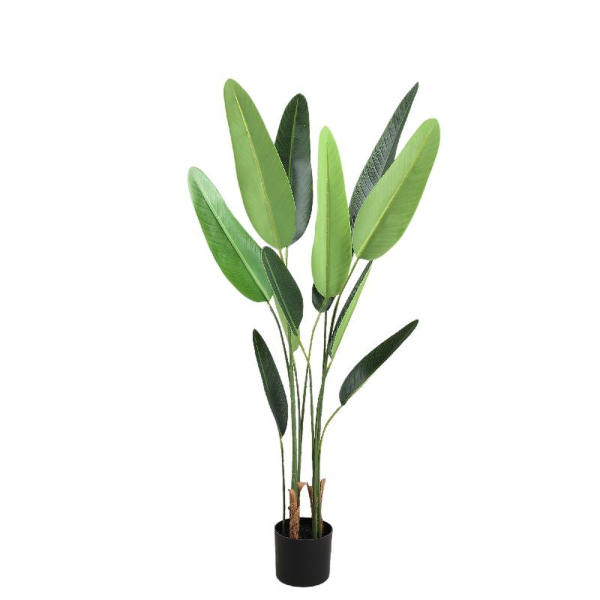 Ptmd plante artificielle boom - 70x80x120 cm - plastique - marron
