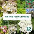 Kit haie pleine nature - 20 jeunes plants - 20 jeunes plants : taille 20/40cm