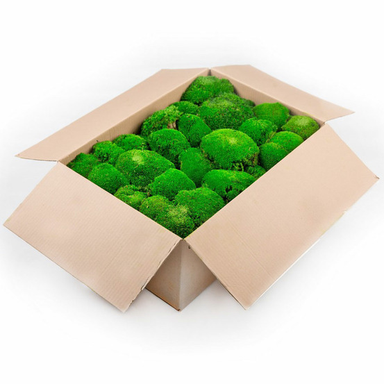 Mbl/2010 mousse boule stabilisée vert forêt carton vrac 2.7 kg