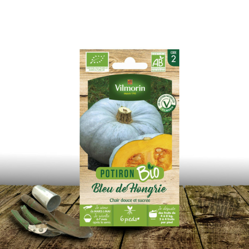Graines de potiron bleu de hongrie - sans traitement - vilmorin sachet