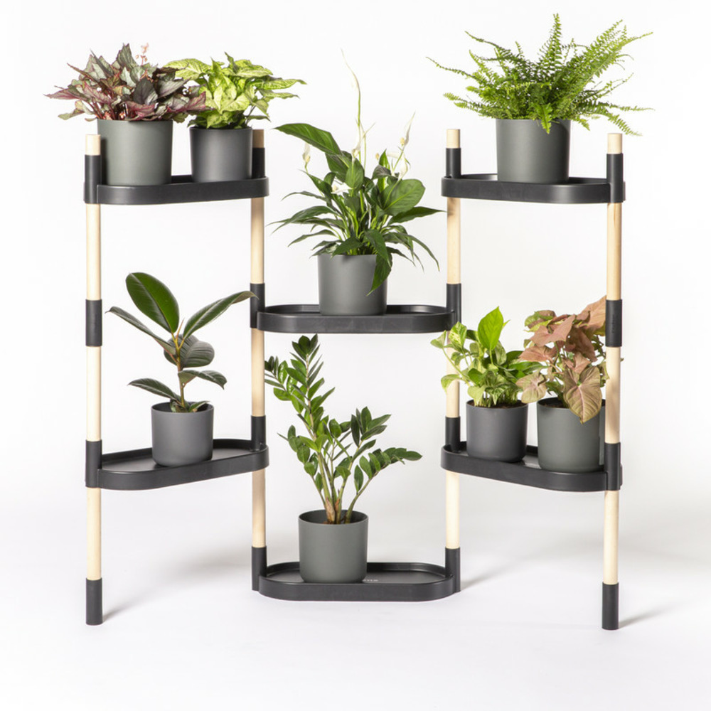 Étagère pour plantes, couleur noire, avec 6 plateaux.