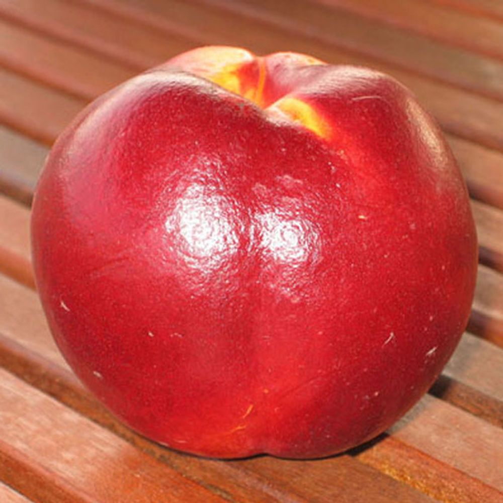 Pêcher 'fantasia' pot de 7,5l/10l, gobelet