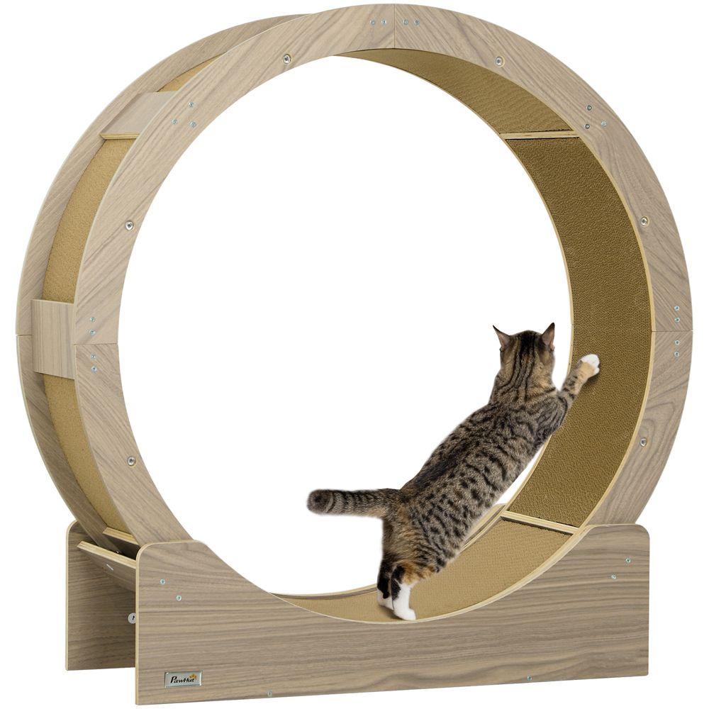 Roue exercice chat intérieur bois multicouche griffoir frein sécurité 91x94cm marron