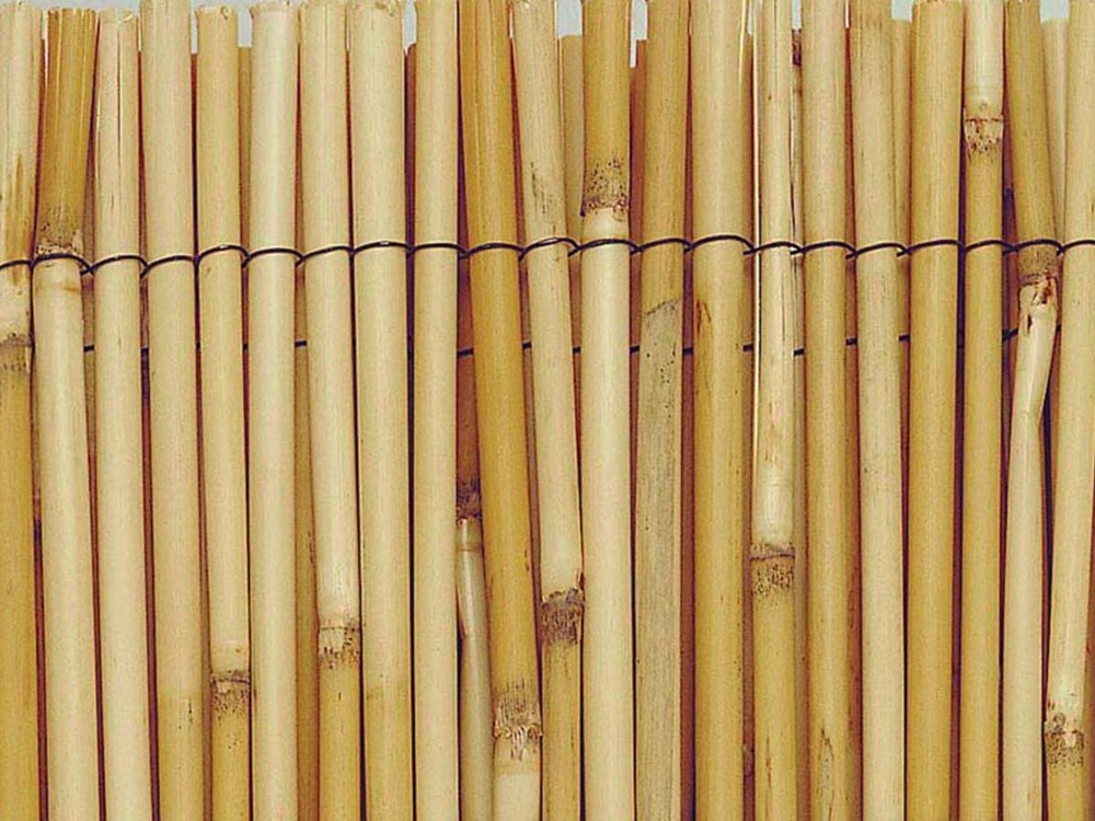 Paillon de roseaux entiers reedcane - 1 x 5 m