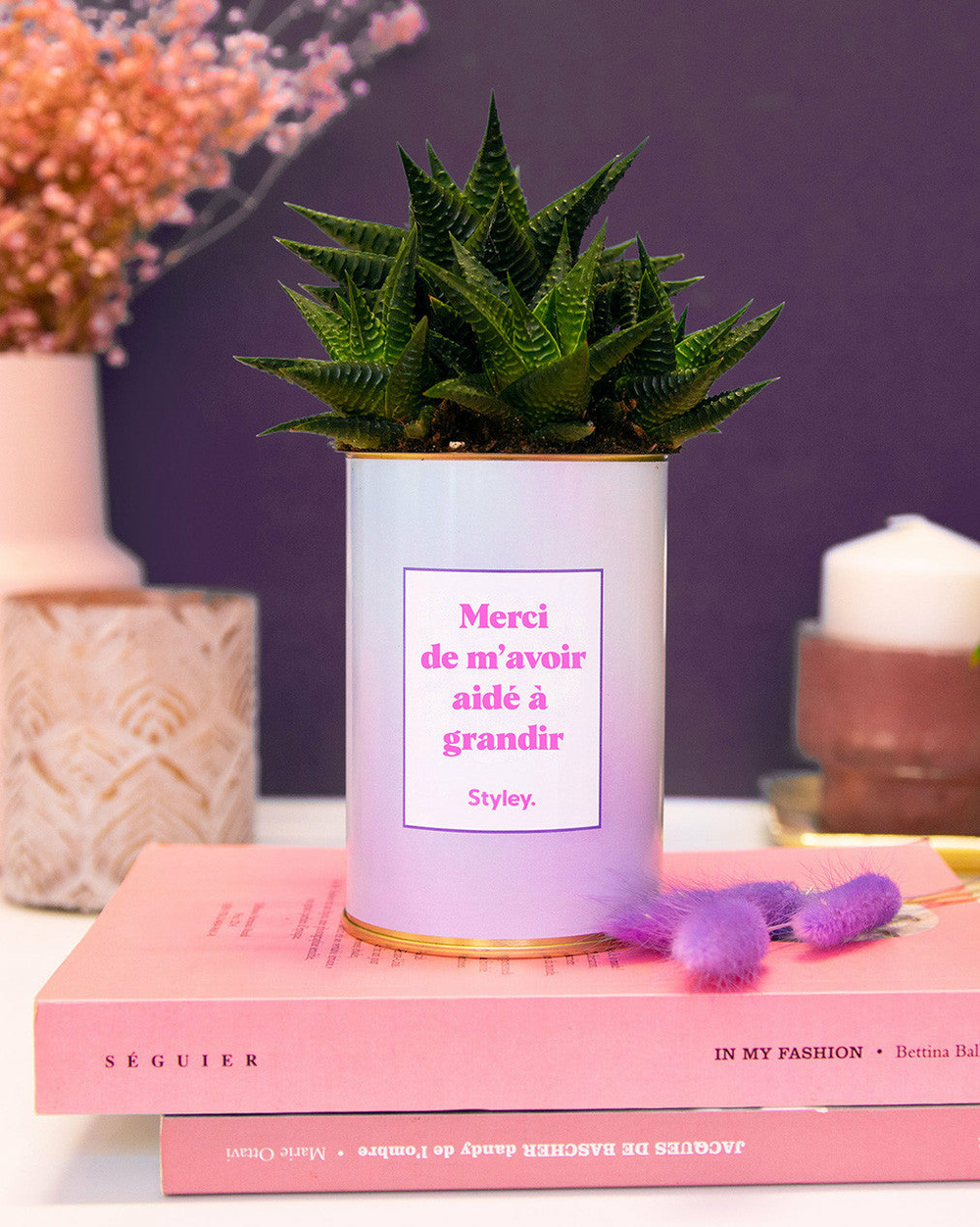 Plante drôle - merci de m'avoir aidé à grandir - cactus