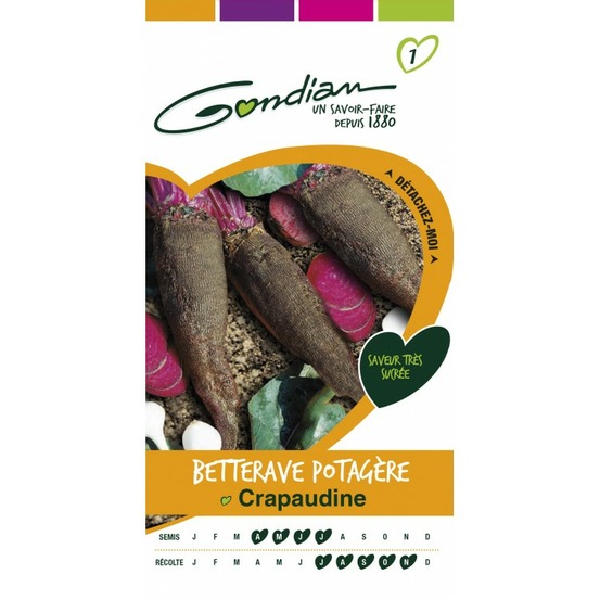 Betterave potagère crapaudine
