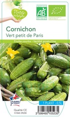 Cornichon vert petit de paris  -plant ab  en  pot 0.5 l- plante du jardin