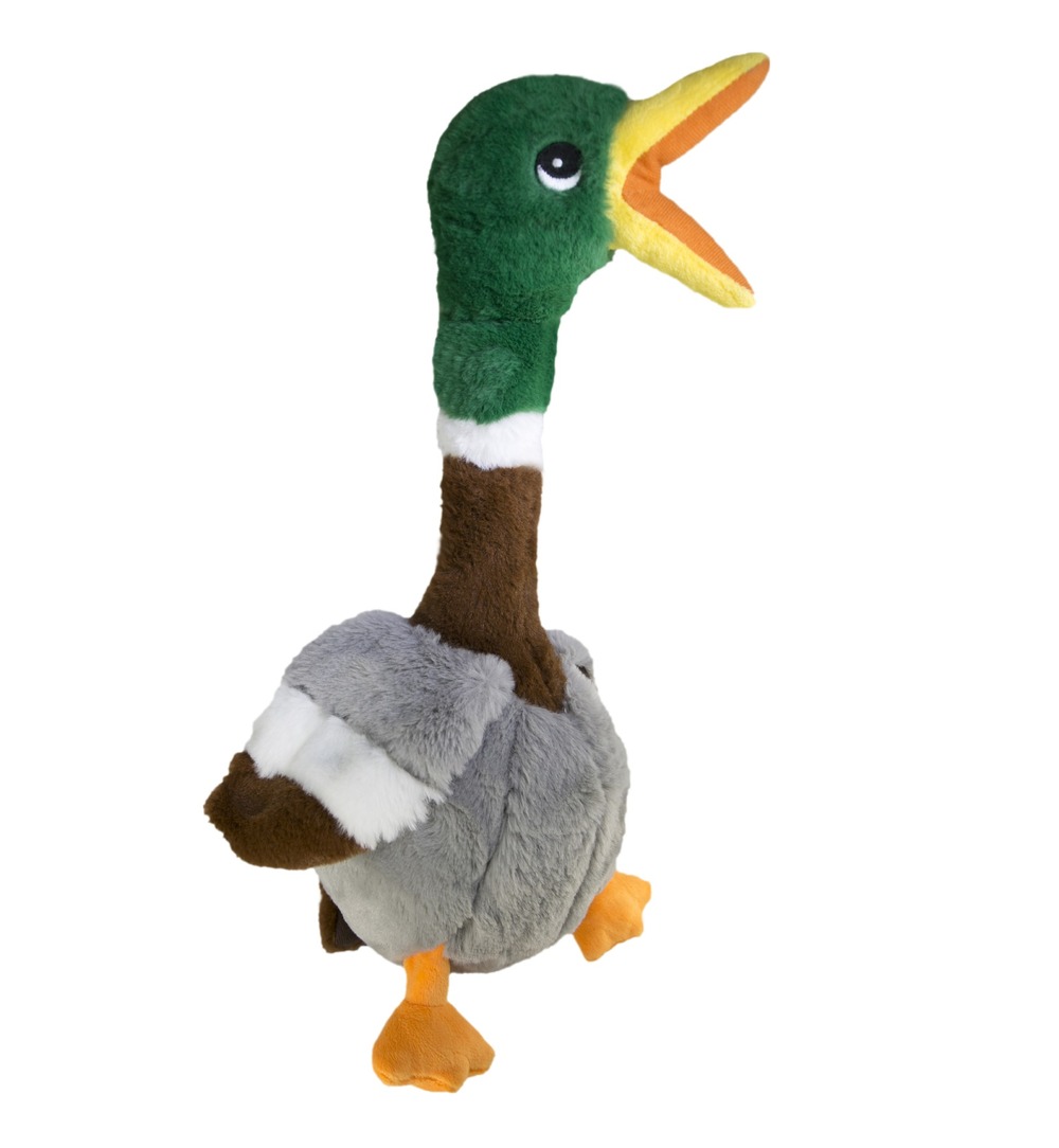 Jeu kong pour chien honkers canard