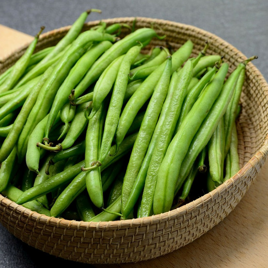 Graines de haricot nain mangetout divinel - vilmorin sachet