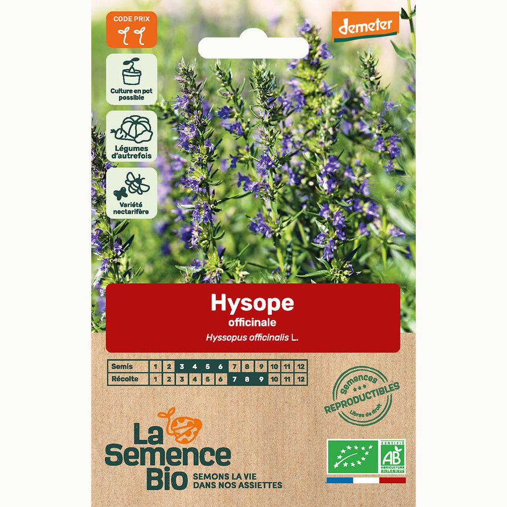 200 Graines D'Hysope Officinale (Hyssopus Officinalis) - Reproductibles, Non Traitées, Pour Jardin