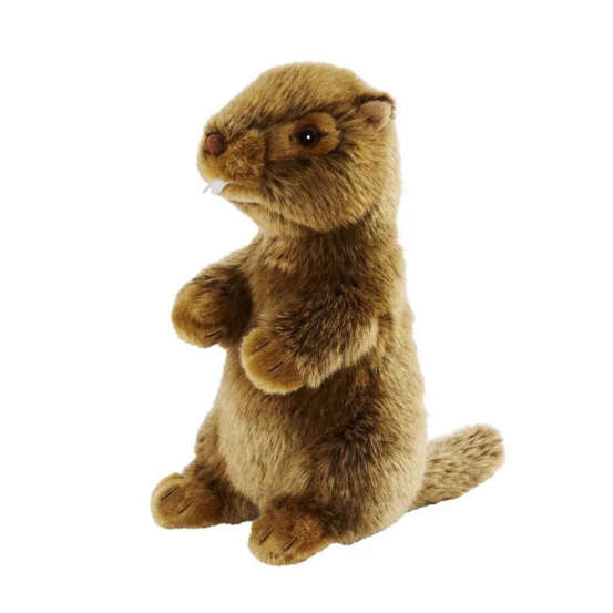 Marmotte 25cm