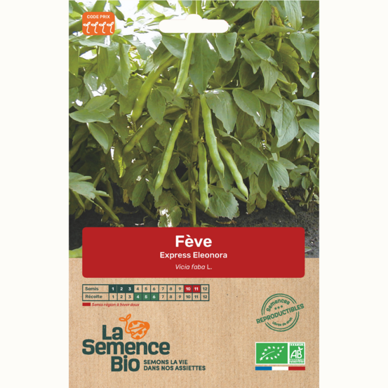 Fève express eleonora - graines bio