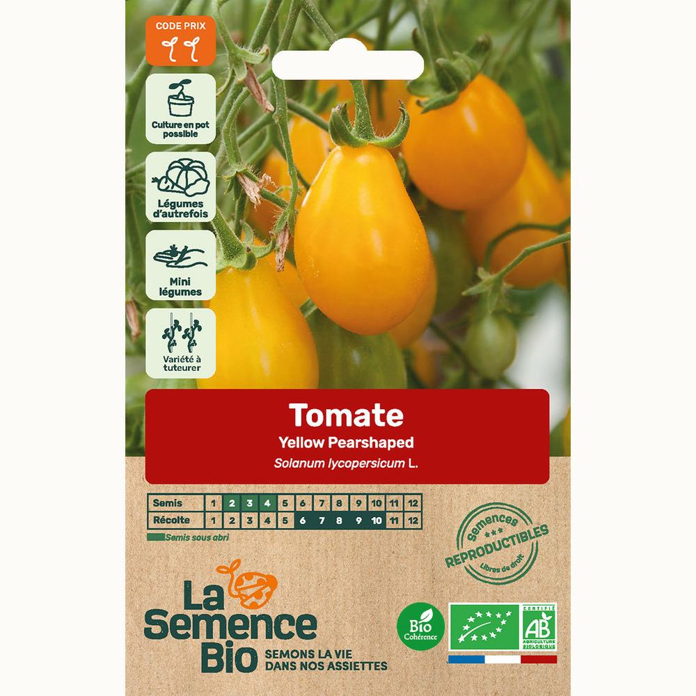 Tomate yellow pearshaped - graines bio